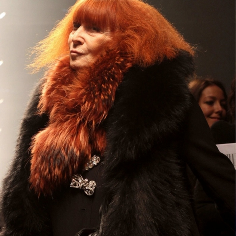 اشتهرت سونيا ريكييل بشعرها الأصهب وقد استوحي منه الكثير من التصاميم وأفكار للعروض لمجموعات الدار