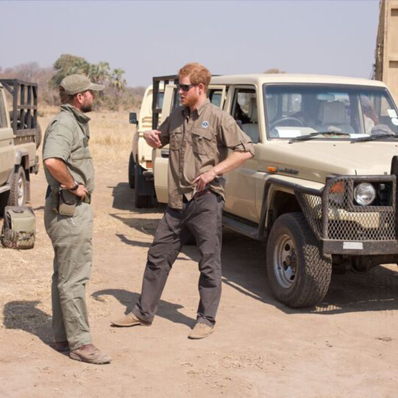 الأمير هاري ساهم في نقل مزيد من الحيوانات في أفريقيا
