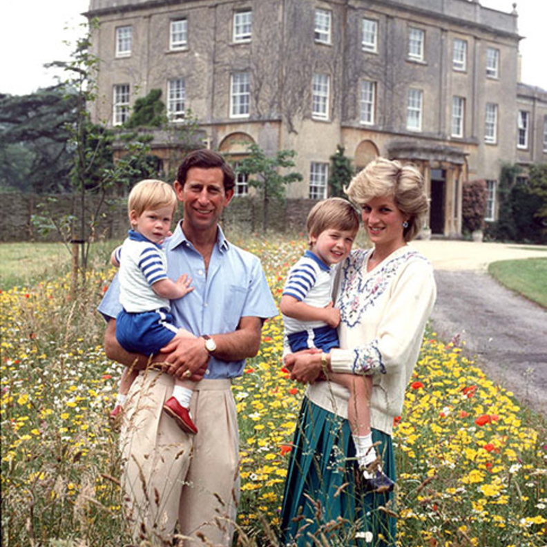 الأمير وليام و الأمير هاري بحثا سبل جمع الأموال لنحت التمثال