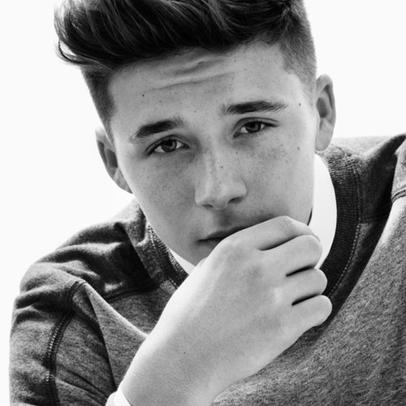  عاشق للشهرة