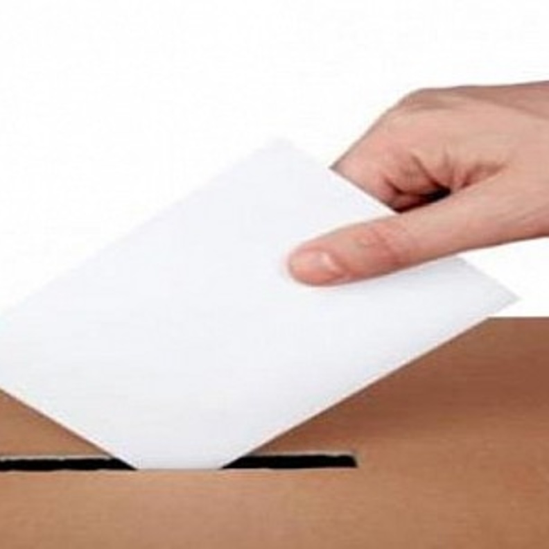 الانتخابات البلدية