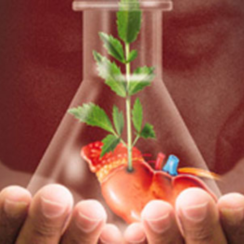 التبرع بالاعضاء