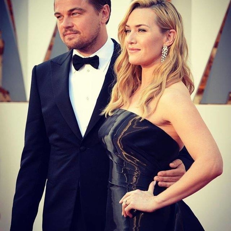 الآسود اختيارهما الدائم 