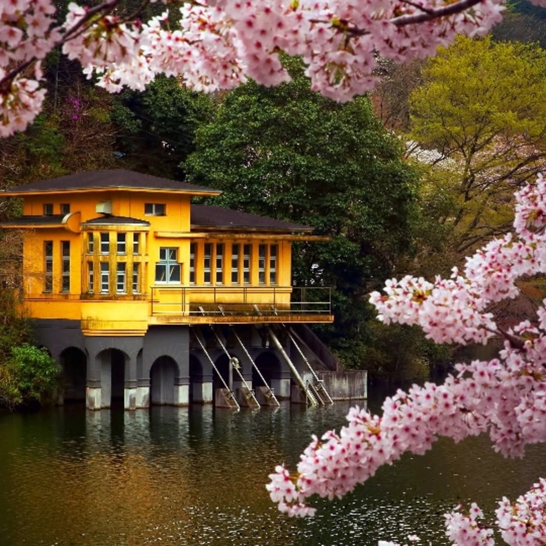 الرومانسية في جزيرة Honshu