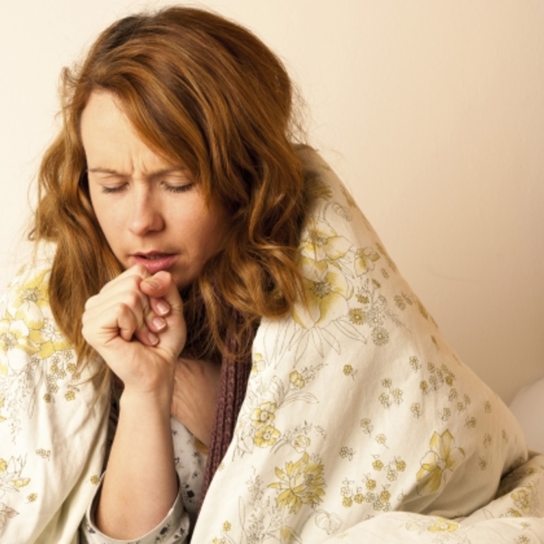 الزيزفون يعالج الامراض الصدريه