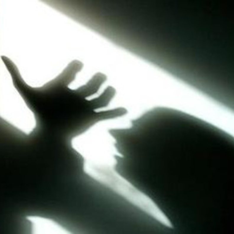 وحشية خادمه