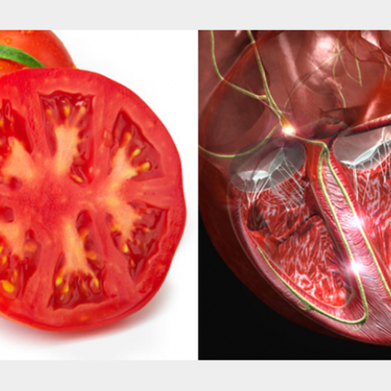 العنب والرئه