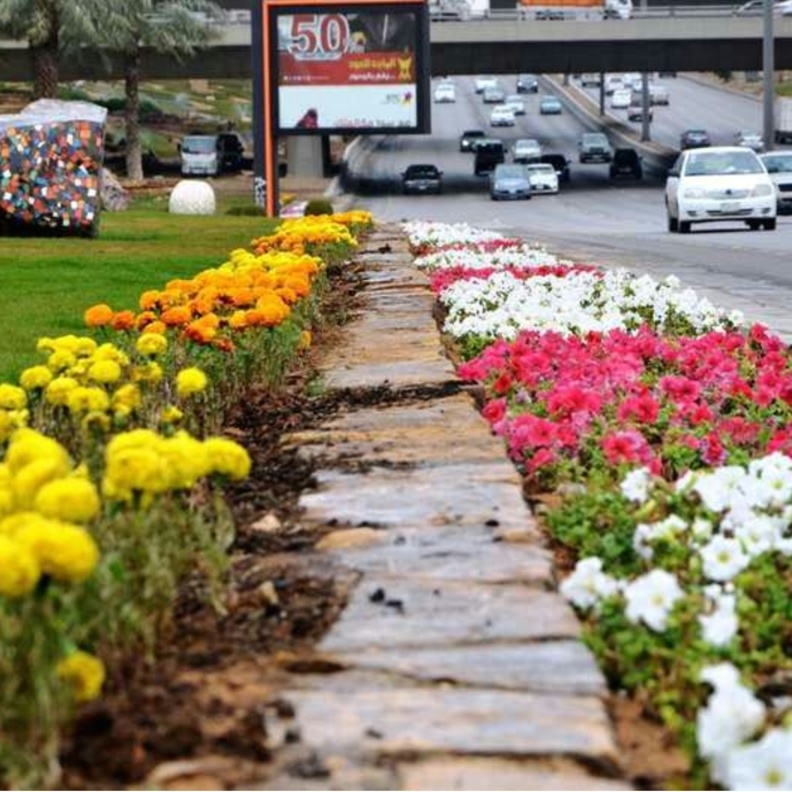 العاصمة الرياض طريق الملك فهد 