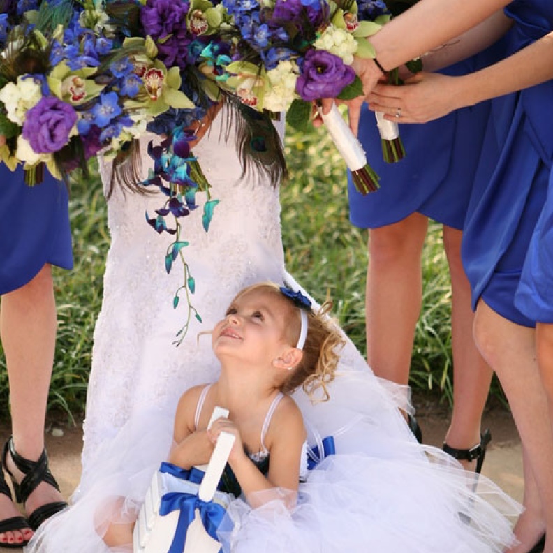 مخططات الوصيفات