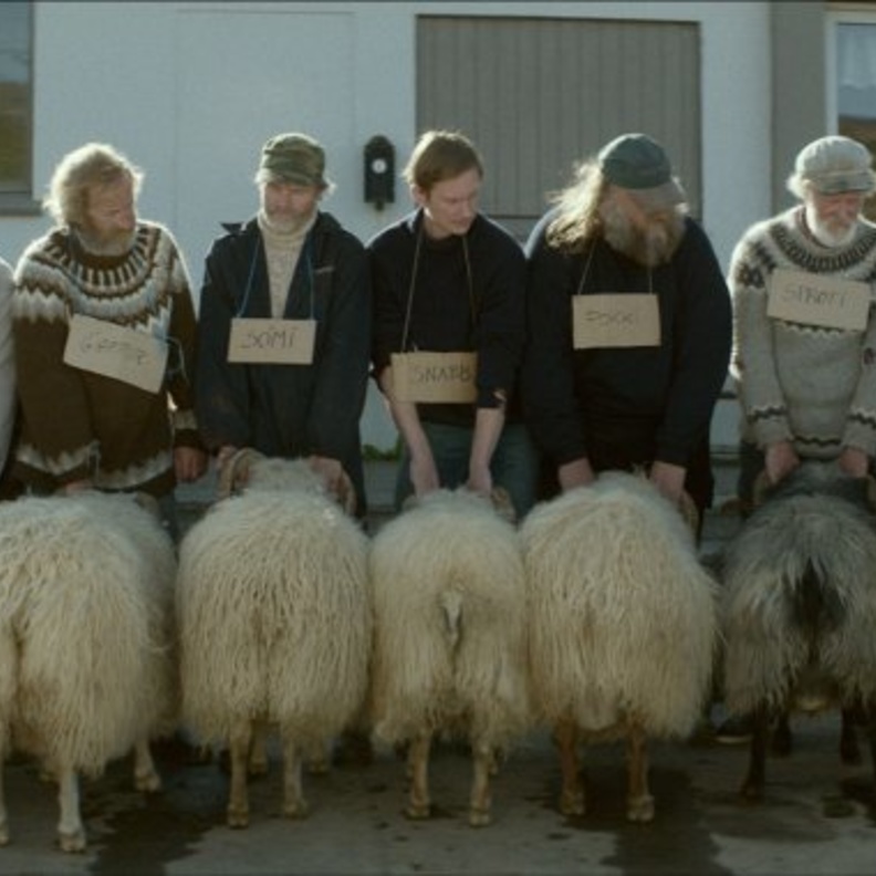  الفيلم الايسلندي رامس