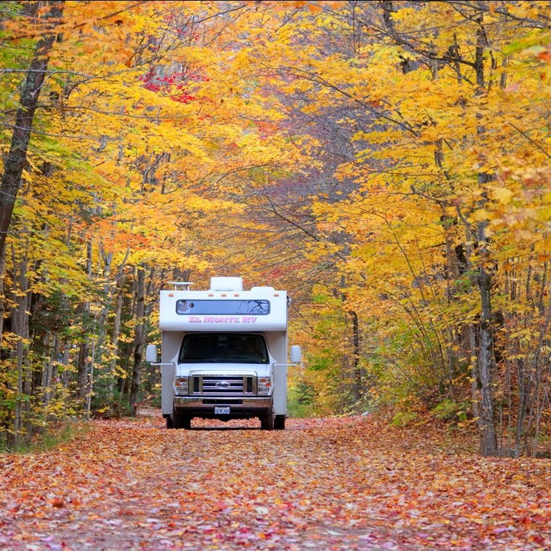 القيادة في الخريف ليست سهلة دائما