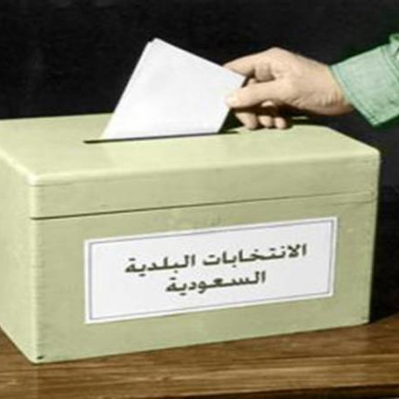 المشاركة في الانتخابات