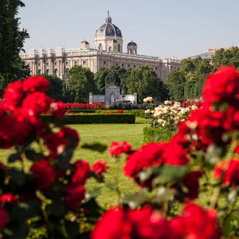 الورود والطبعية الخلابة هي سحر فيينا