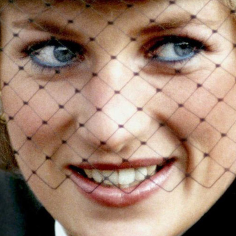 ديانا حزينة بهذه الصورة الرسمية