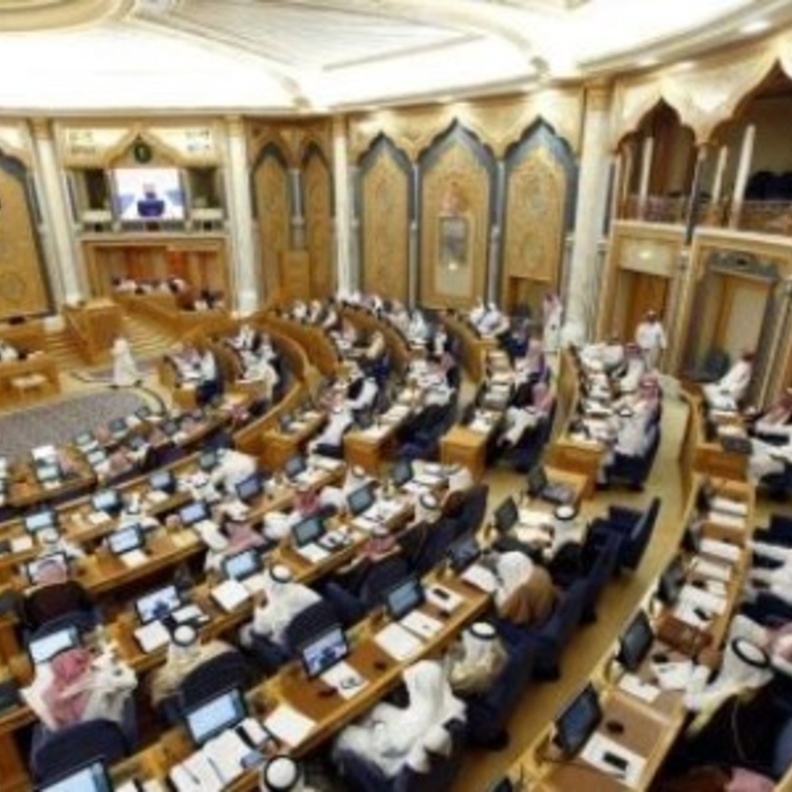 انضمت الدكتورة سلطانة البديوي الى مجلس الشورى