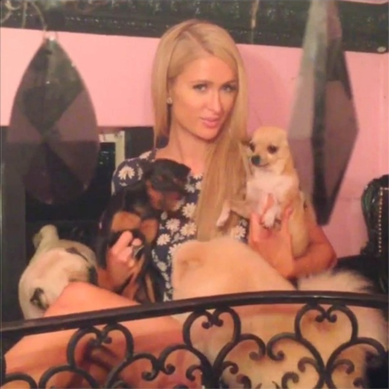 باريس هيلتون مع كلابها