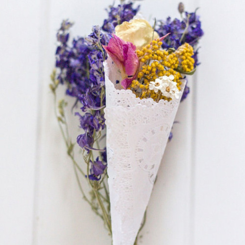 ازهار خريفية