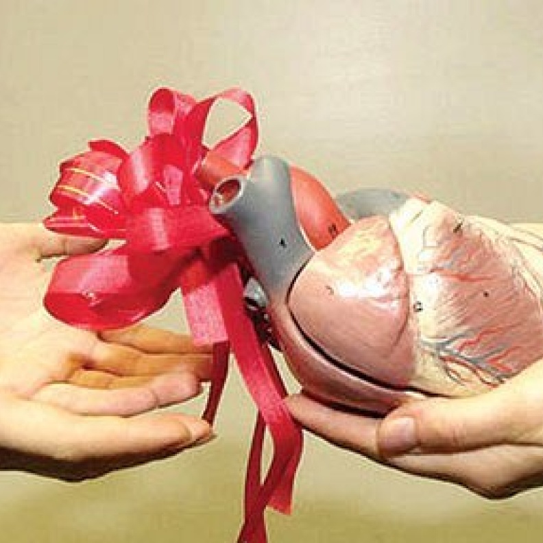 شاب سعودي يرفض بيع كليته بمليون ريال ويتبرع بها لمطلقة