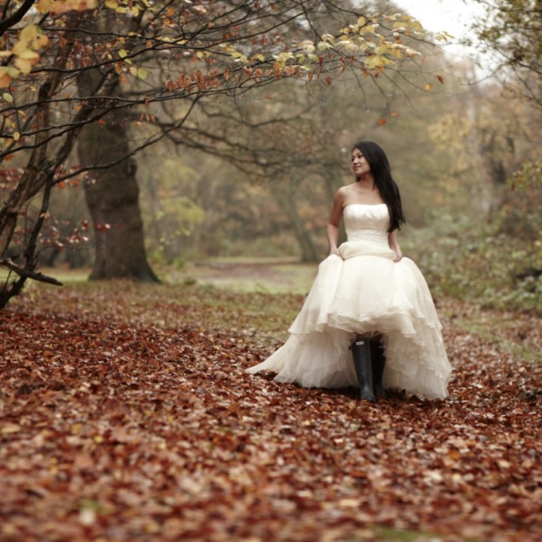  جمال الطبيعة في الخريف