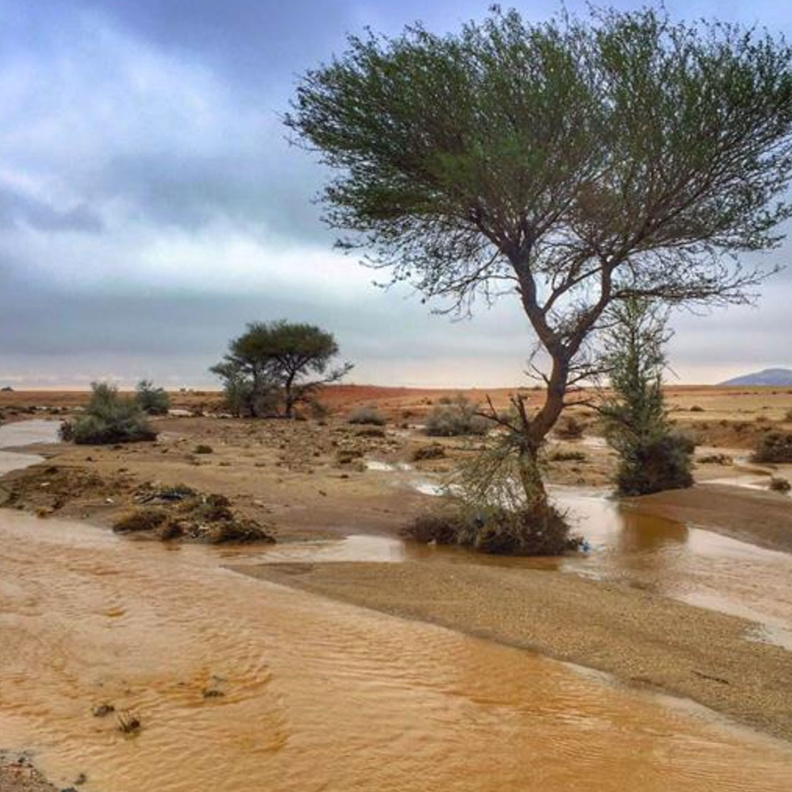 جمال المطر في السعودية