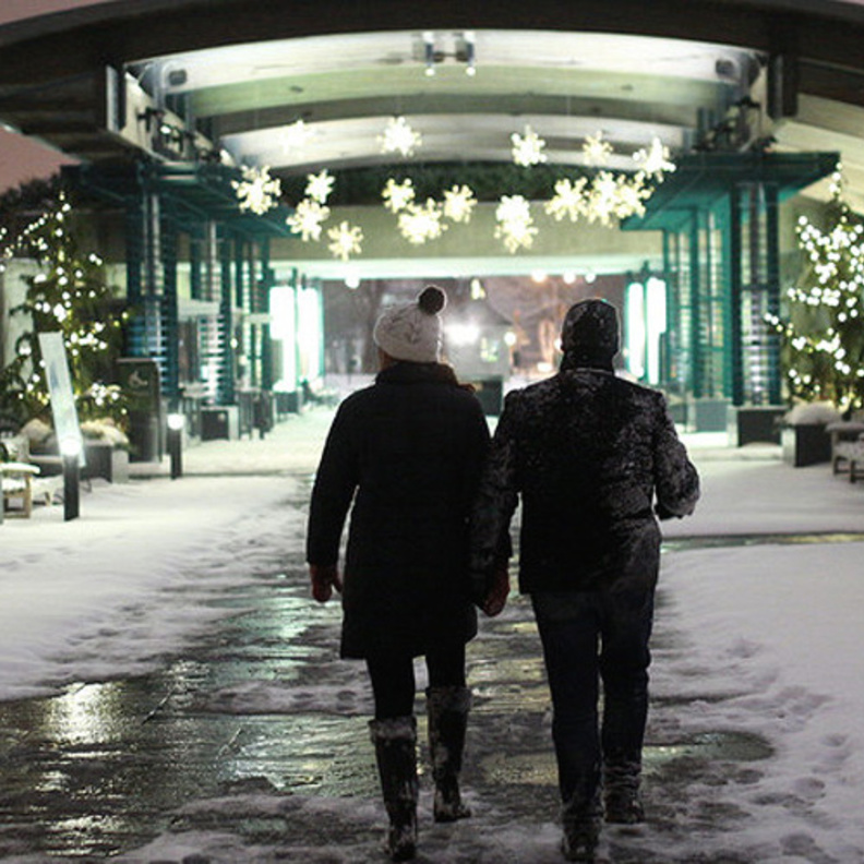 جولة ليلية في حديقة نيويورك النباتية