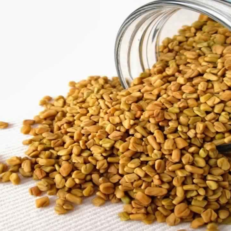 تتميز الحلبة بالعديد من المعادن و العناصر المفيدة في علاج العديد من الأمراض