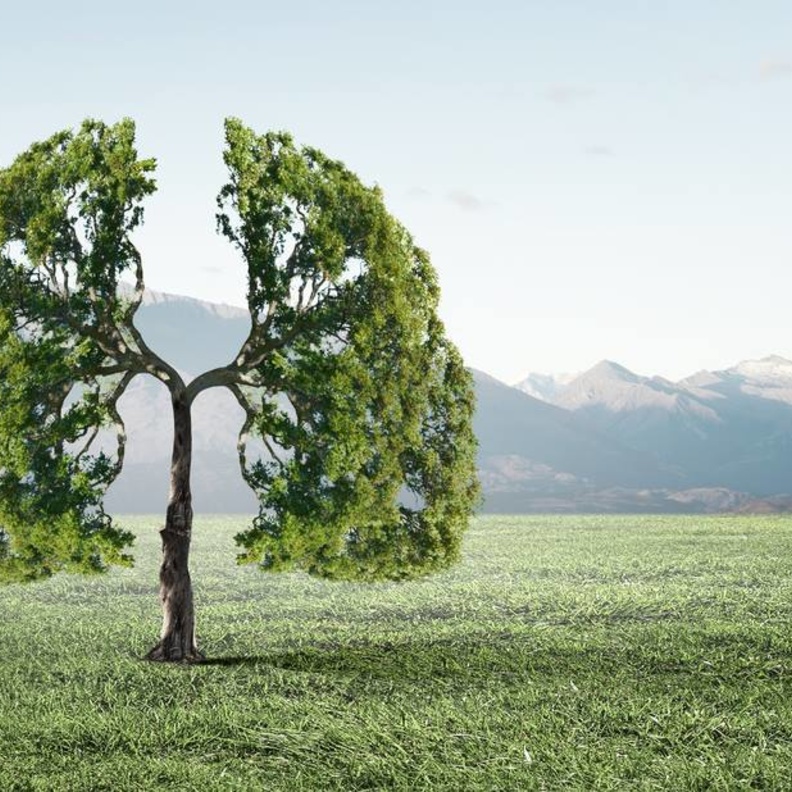 حماية الرئه من التدخين