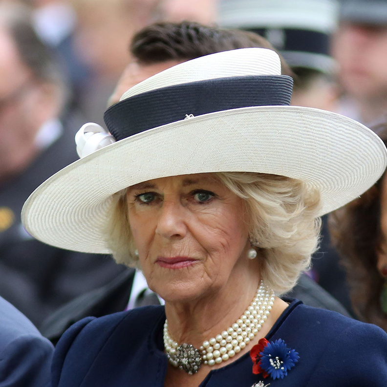 مشاركة واسعة في حفل الاستقبال