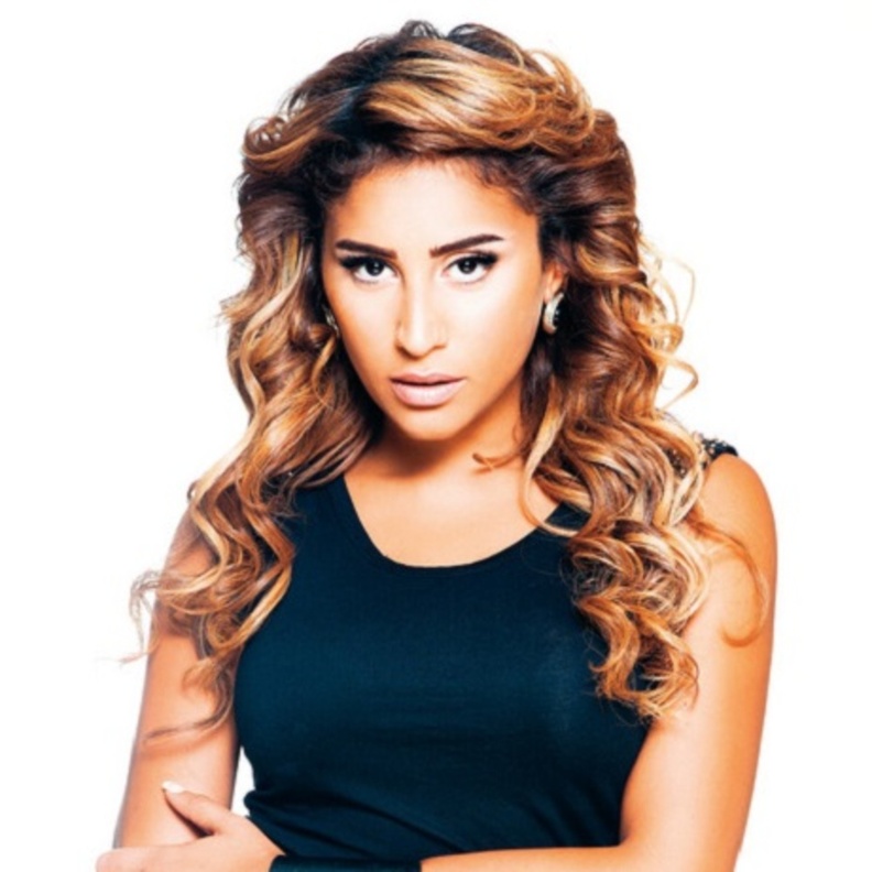 دينا الشربيني تصدم الجمهور