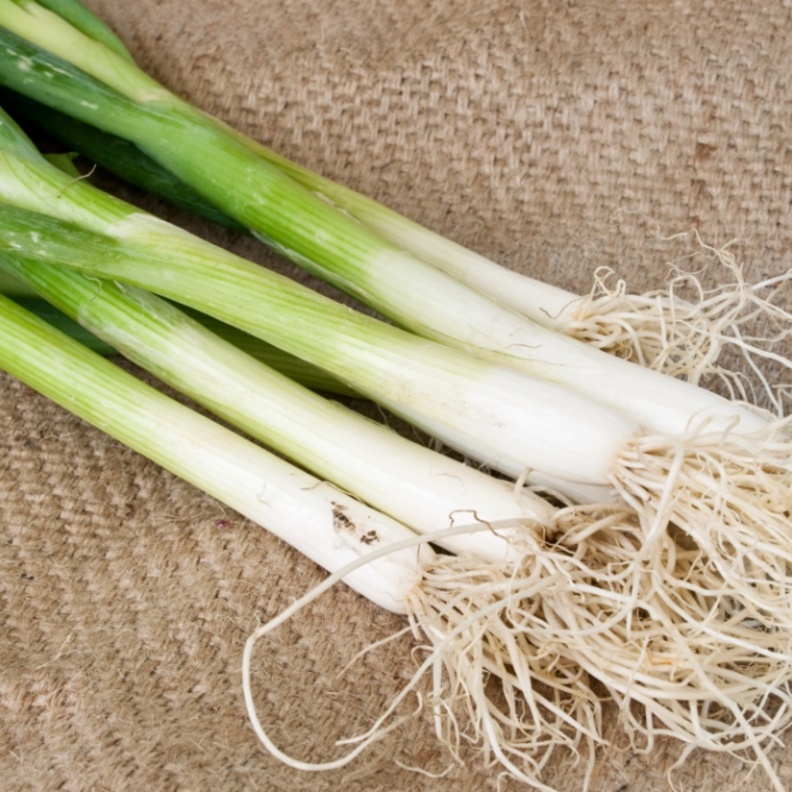 البصل الأخضر يحمي القولون من السرطان