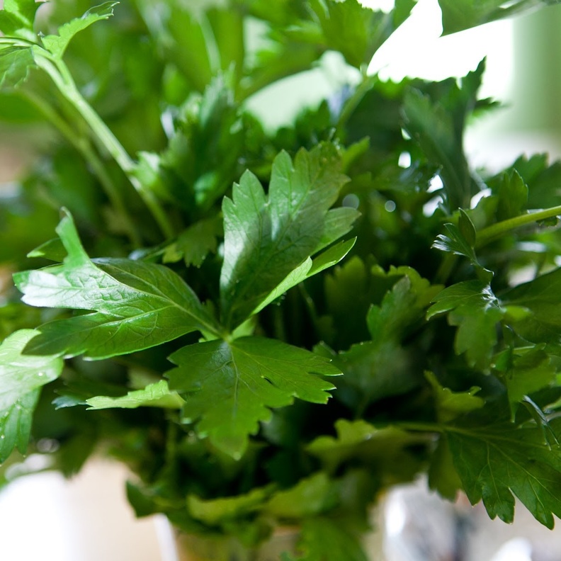 البقدونس غني بمضادات الأكسدة و مضادات الإلتهاب