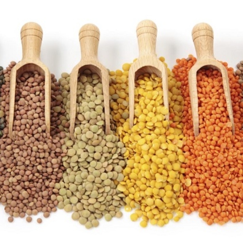 العدس مهم لتوازن مستوى الكوليسترول في الدم