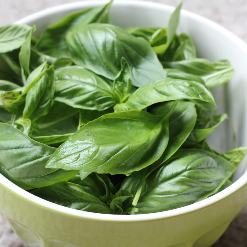 الريحان افضل عشبه تستخدم في التطهير