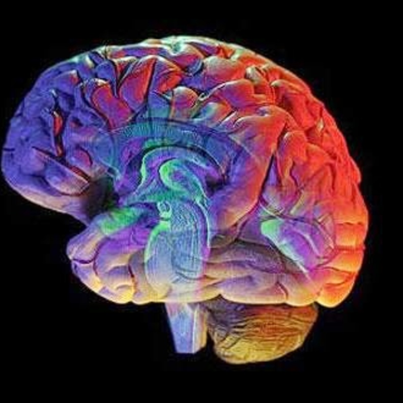 سرطان الدماغ