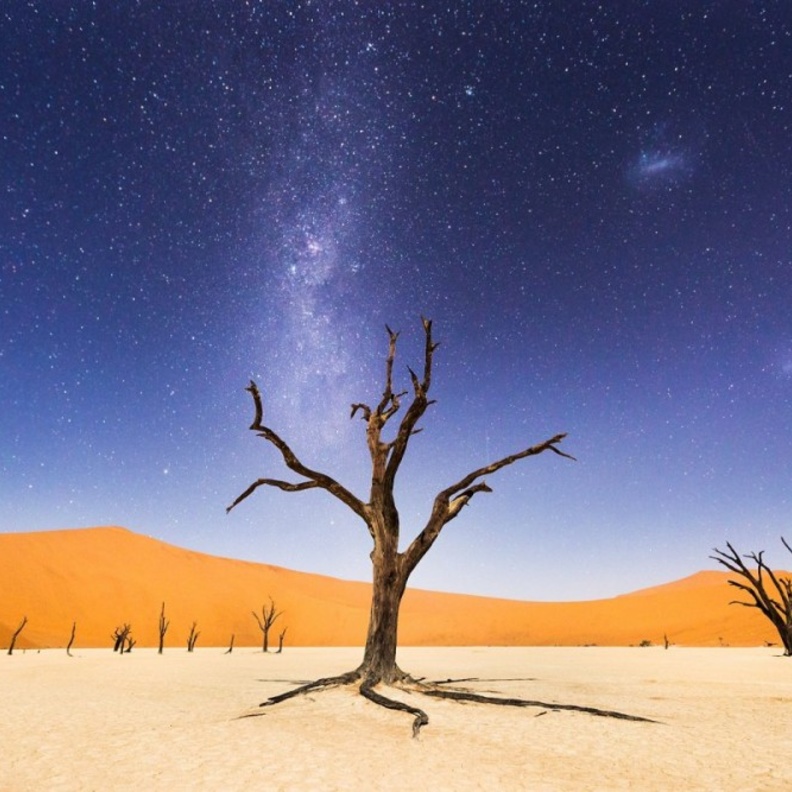 Beth McCarley سماء Deadvlei في نامبيا للمصور 