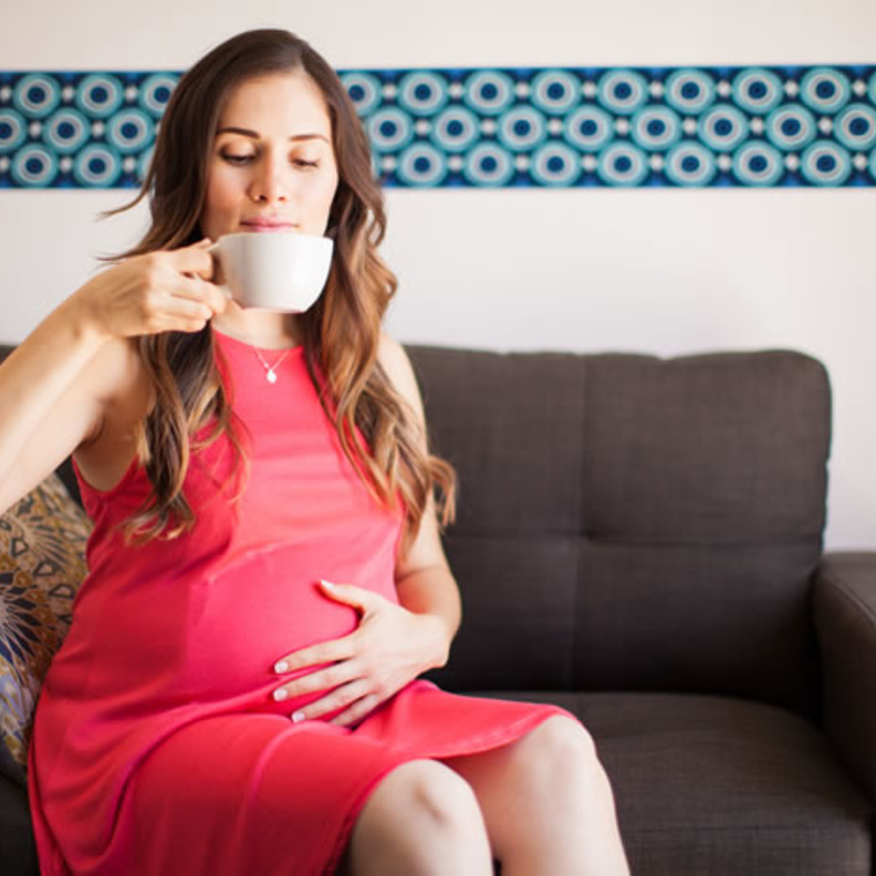 شرب ورق الجوافة للحامل