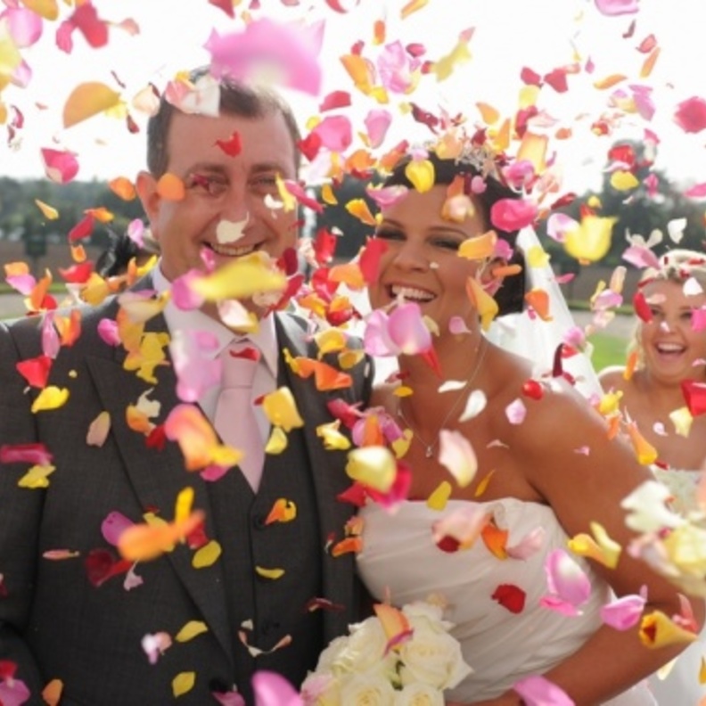 صور بتلات الورد