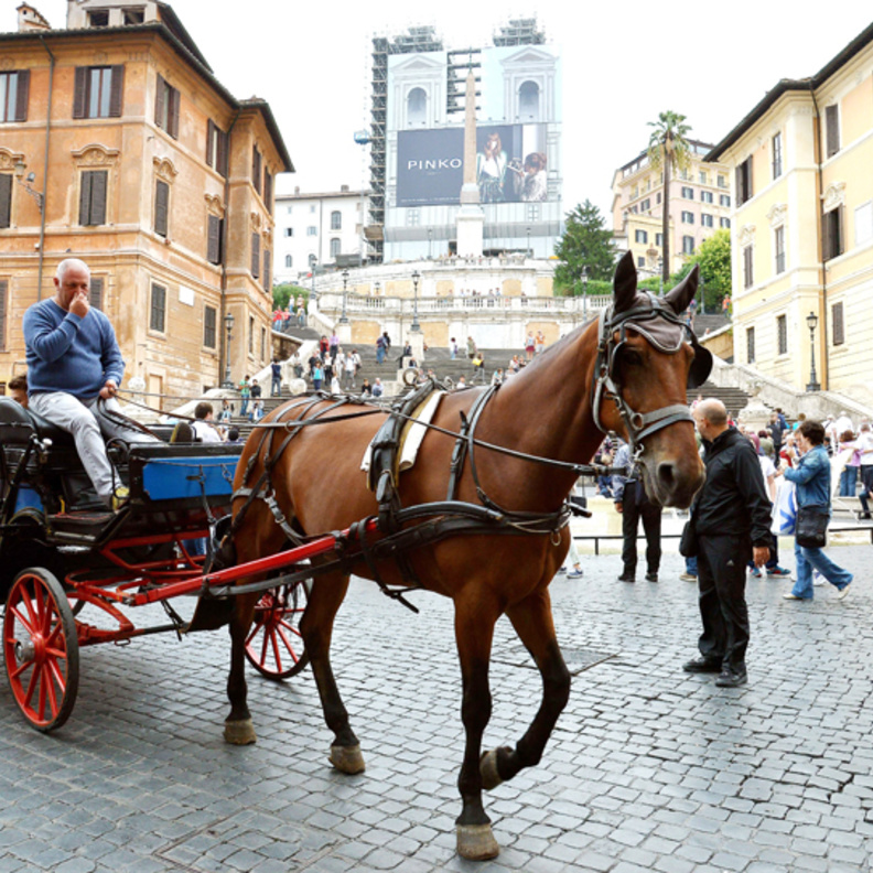 استمتعوا بجولات الحنطور في هذه المدن