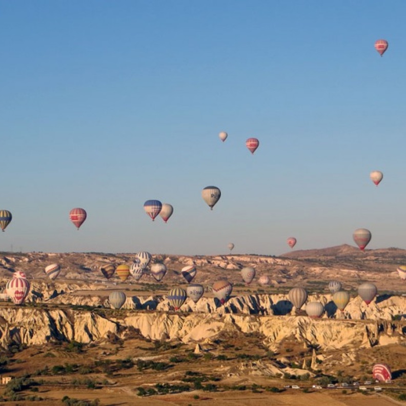  غوريمي بمناطيدها