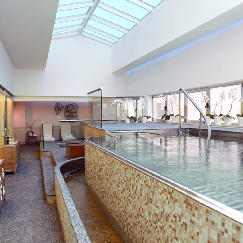 فندق Alvear Palace -  حوض للسباحة فوق سطح المبنى Alvear Palace Hotel - Rooftop Pool