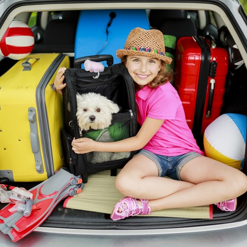 نصائح في حالة السفر برفقة حيوانك الأليف