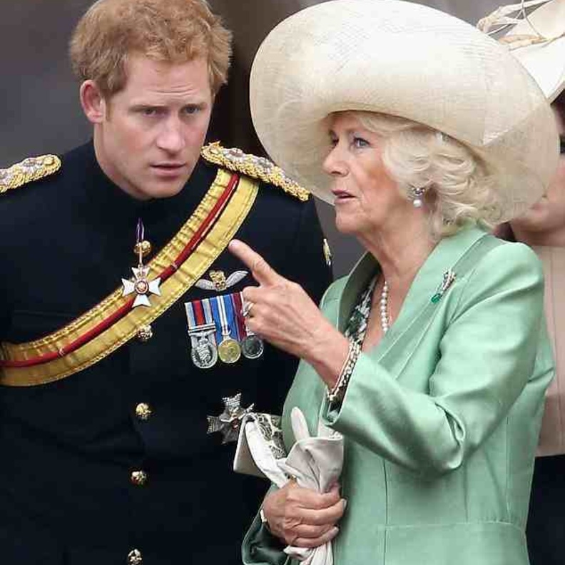 كاميلا تبحث عن عروس لابن زوجها