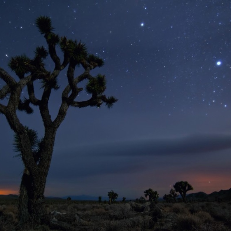 بالصور: النّجوم كما لم تروها من قبل في هذه الوجهات!