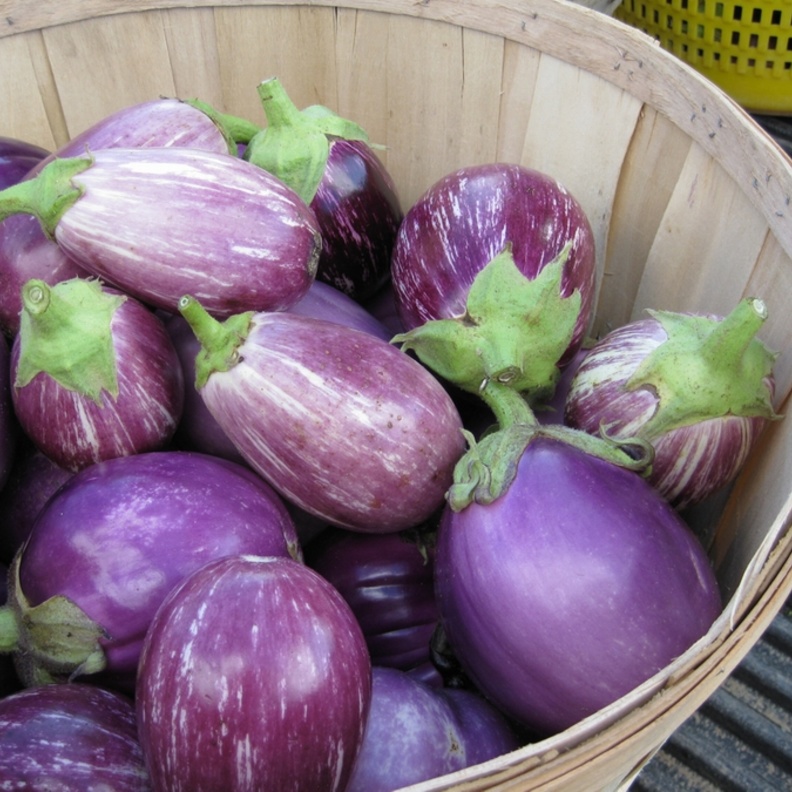 للباذنجان قدرة خارقة على امتصاص الدهون من الجسم