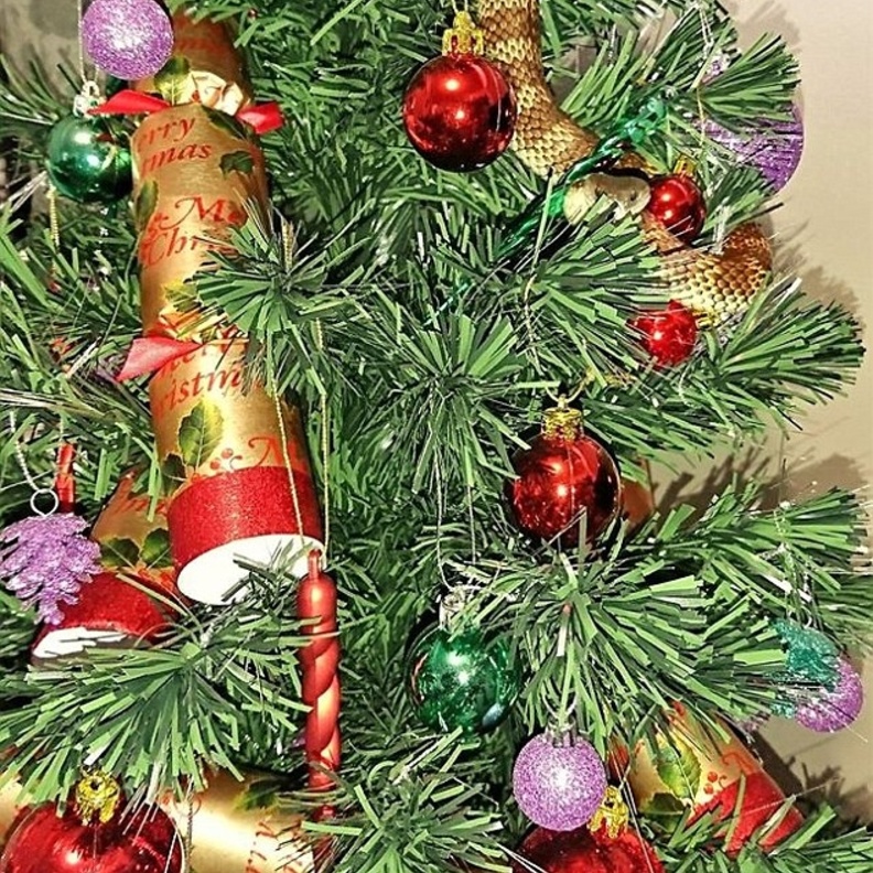 لن تصدقوا ماذا وجدت هذه العائلة في شجرة الميلاد!