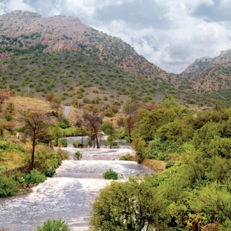 مدينة الطائف