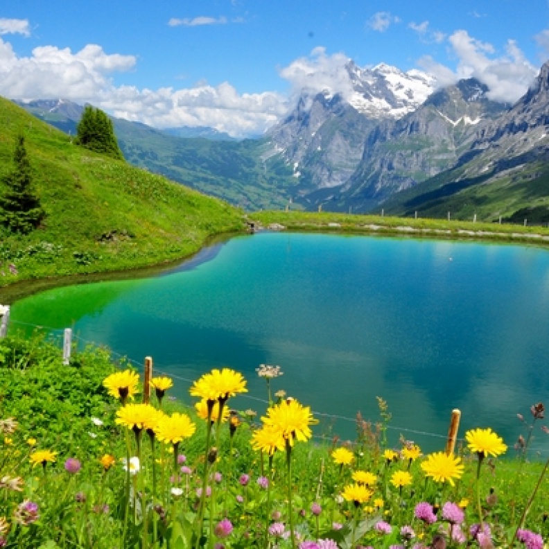 عطلة وسط الطبيعة الخلابة بسويسرا
