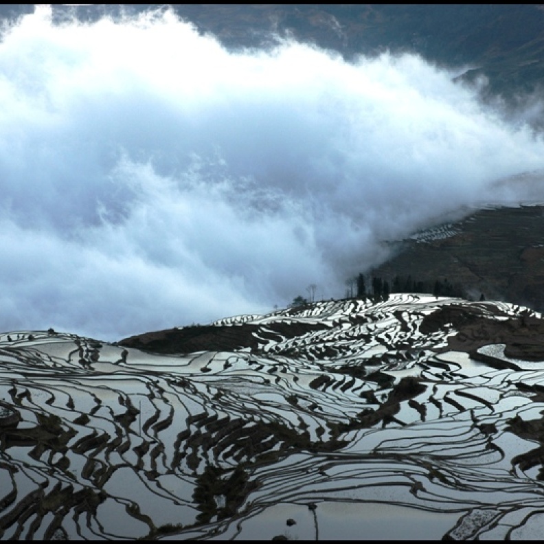 مصاطب الأرز في يوانيانغ