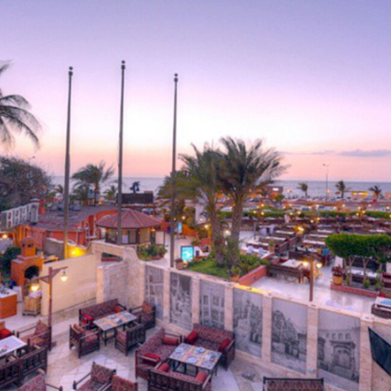 مطعم النخيل