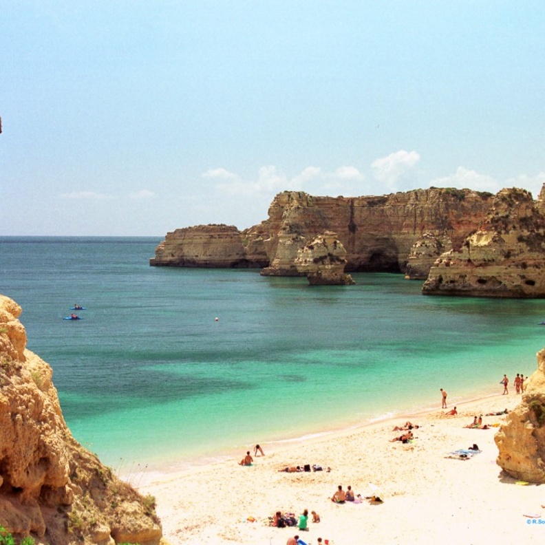 من مدينة الغارفي